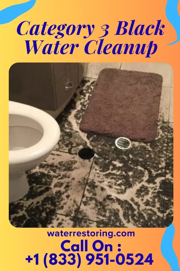 Category 3 Black Water Cleanup in Hometown, IL