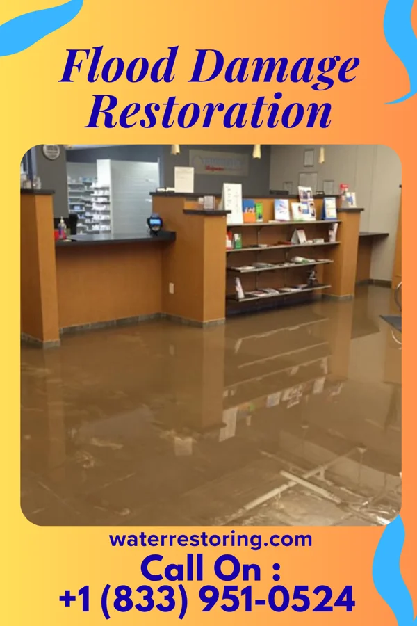 Flood Damage Restoration in Hometown, IL